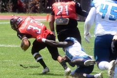 rojos-cdmx-marlins-cabos-fam-yox-2022-125