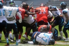 rojos-cdmx-marlins-cabos-fam-yox-2022-16