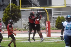 rojos-cdmx-marlins-cabos-fam-yox-2022-21