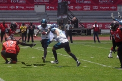 rojos-cdmx-marlins-cabos-fam-yox-2022-22
