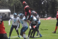 rojos-cdmx-marlins-cabos-fam-yox-2022-31