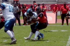 rojos-cdmx-marlins-cabos-fam-yox-2022-36