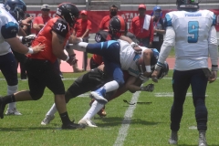 rojos-cdmx-marlins-cabos-fam-yox-2022-38