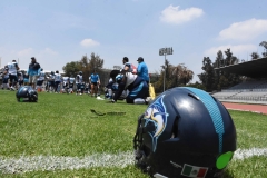 rojos-cdmx-marlins-cabos-fam-yox-2022-4