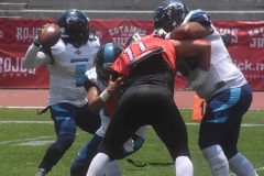 rojos-cdmx-marlins-cabos-fam-yox-2022-41