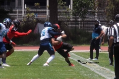 rojos-cdmx-marlins-cabos-fam-yox-2022-42