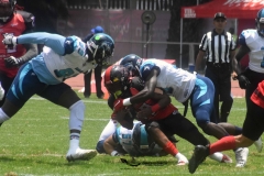 rojos-cdmx-marlins-cabos-fam-yox-2022-7