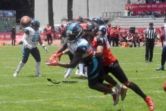 rojos-cdmx-marlins-cabos-fam-yox-2022-72