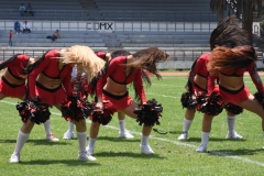 rojos-cdmx-marlins-cabos-fam-yox-2022-86
