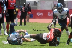 rojos-cdmx-marlins-cabos-fam-yox-2022-9