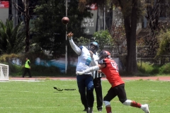 rojos-cdmx-marlins-cabos-fam-yox-2022-97