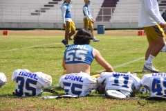 autenticos-tigres-aguilas-blancas-onefa-2025-1