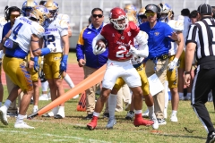 autenticos-tigres-aguilas-blancas-onefa-2025-10