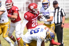 autenticos-tigres-aguilas-blancas-onefa-2025-107
