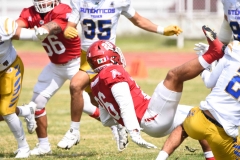 autenticos-tigres-aguilas-blancas-onefa-2025-108