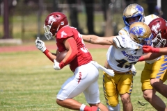 autenticos-tigres-aguilas-blancas-onefa-2025-11