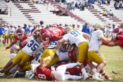 autenticos-tigres-aguilas-blancas-onefa-2025-111