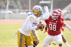 autenticos-tigres-aguilas-blancas-onefa-2025-113