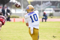 autenticos-tigres-aguilas-blancas-onefa-2025-114
