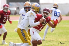 autenticos-tigres-aguilas-blancas-onefa-2025-116