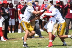 autenticos-tigres-aguilas-blancas-onefa-2025-12