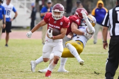 autenticos-tigres-aguilas-blancas-onefa-2025-124
