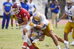 autenticos-tigres-aguilas-blancas-onefa-2025-126