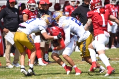 autenticos-tigres-aguilas-blancas-onefa-2025-13