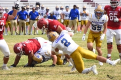 autenticos-tigres-aguilas-blancas-onefa-2025-133