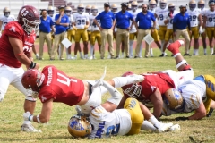 autenticos-tigres-aguilas-blancas-onefa-2025-134