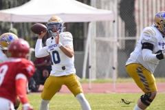autenticos-tigres-aguilas-blancas-onefa-2025-139