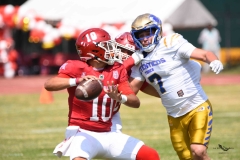 autenticos-tigres-aguilas-blancas-onefa-2025-14