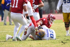 autenticos-tigres-aguilas-blancas-onefa-2025-140