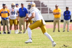 autenticos-tigres-aguilas-blancas-onefa-2025-141