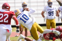 autenticos-tigres-aguilas-blancas-onefa-2025-142