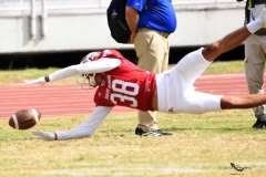 autenticos-tigres-aguilas-blancas-onefa-2025-144