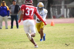 autenticos-tigres-aguilas-blancas-onefa-2025-145