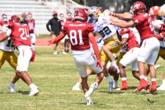 autenticos-tigres-aguilas-blancas-onefa-2025-15