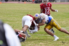 autenticos-tigres-aguilas-blancas-onefa-2025-151