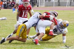 autenticos-tigres-aguilas-blancas-onefa-2025-153