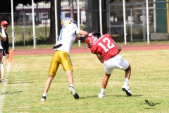 autenticos-tigres-aguilas-blancas-onefa-2025-154