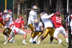 autenticos-tigres-aguilas-blancas-onefa-2025-16