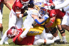 autenticos-tigres-aguilas-blancas-onefa-2025-160