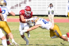 autenticos-tigres-aguilas-blancas-onefa-2025-169