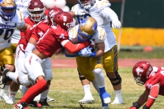 autenticos-tigres-aguilas-blancas-onefa-2025-17