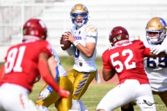 autenticos-tigres-aguilas-blancas-onefa-2025-181