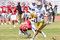 autenticos-tigres-aguilas-blancas-onefa-2025-21