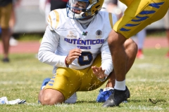 autenticos-tigres-aguilas-blancas-onefa-2025-27