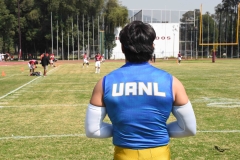 autenticos-tigres-aguilas-blancas-onefa-2025-3