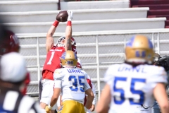 autenticos-tigres-aguilas-blancas-onefa-2025-31